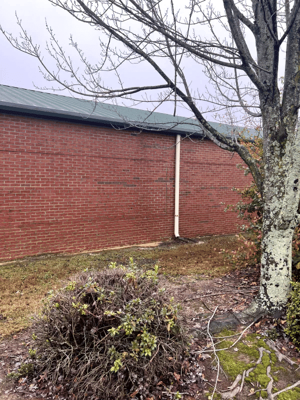 Brick wall of a building with a drainage pipe, surrounded by trees and shrubs.